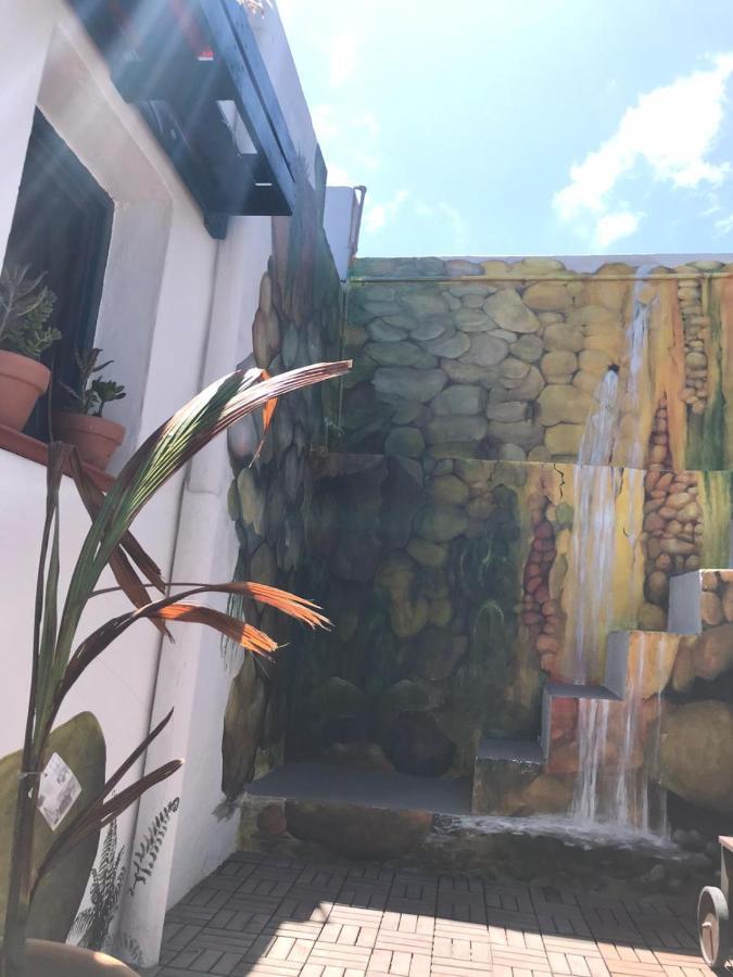 Pura Vida Casa Del Mar Villa Brena Baja Bagian luar foto